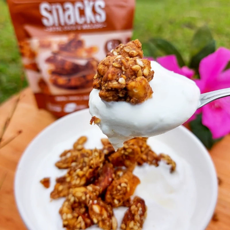 Iogurte caseiro cremoso com Snacks